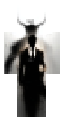 Ego skin