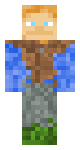Elemental Steve
