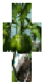 Farm grew big time