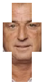 Fatih terim