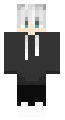 fllash hodie