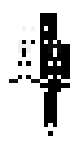 Ghost Twins
