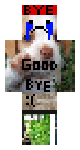 goodbye everyone :,(
