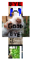 goodbye everyone :,(