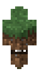 Grass block skin