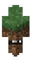 Grass block skin