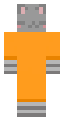 gray cat prisoner