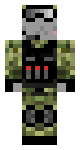 gray cat solider