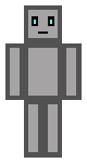 Gray Robot