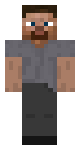 Grey Steve