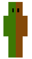 half green half  brown block guy?!?