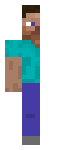 Half Steve (Reposted)