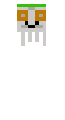 happy ghast carpet