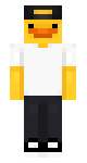 HAVALI DUCK