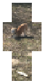 He’s sticking is butt up in the air