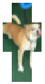 I didn’t mean to make a cursed rico