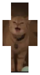 I Go Meow