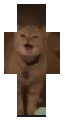 I Go Meow