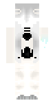 its inversion