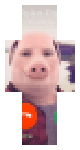 john pork is calling..