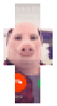 john pork is calling..