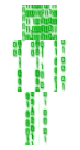 JuniorWBOB2