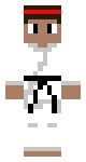 Karate Expert