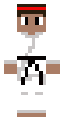Karate Expert
