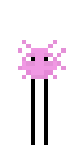 KinitoPetMonster