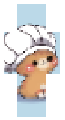 KONYHA CICA