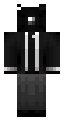 Large Camera Man 2.9