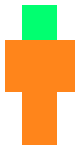 ME MAKE WERID SKINS