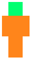 ME MAKE WERID SKINS