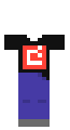 Minecraft Developer's Clothes