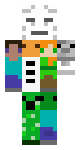 MINECRAFT mob skin