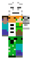 MINECRAFT mob skin