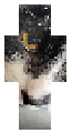Mój kot