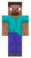 Modern Steve
