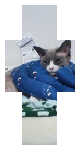 My cat v2
