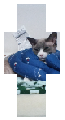 My cat v2