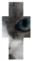 My cat v3