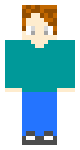 My Skin (Steve'den Çalıntı)