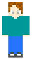 My Skin (Steve'den Çalıntı)