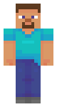 My steve