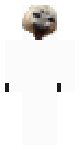 Niko the seal (evil)