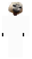 Niko the seal (evil)