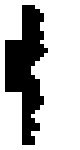 NonPlayer