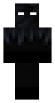 Null Skin (Minecraft)