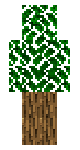 Oak tree