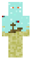 Ocean Steve